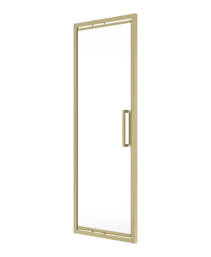 ASPECT 8mm Framed Infold Door